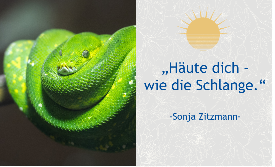 Häute dich – wie die Schlange